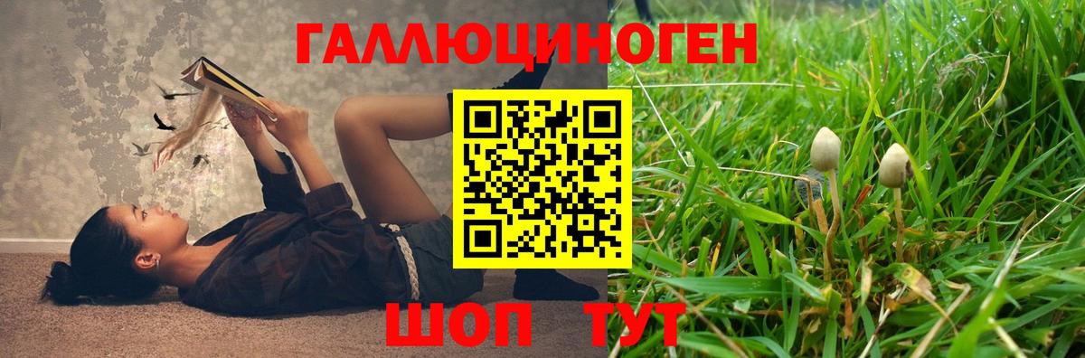 Псилоцибиновые грибы Magic Shrooms  Галлюциногенные грибы Psilocybe  Вход с VPN  Владивосток 